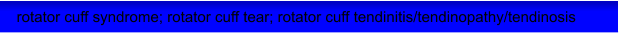 rotator cuff syndrome; rotator cuff tear; rotator cuff tendinitis/tendinopathy/tendinosis